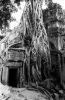 cambodia1_10.jpg